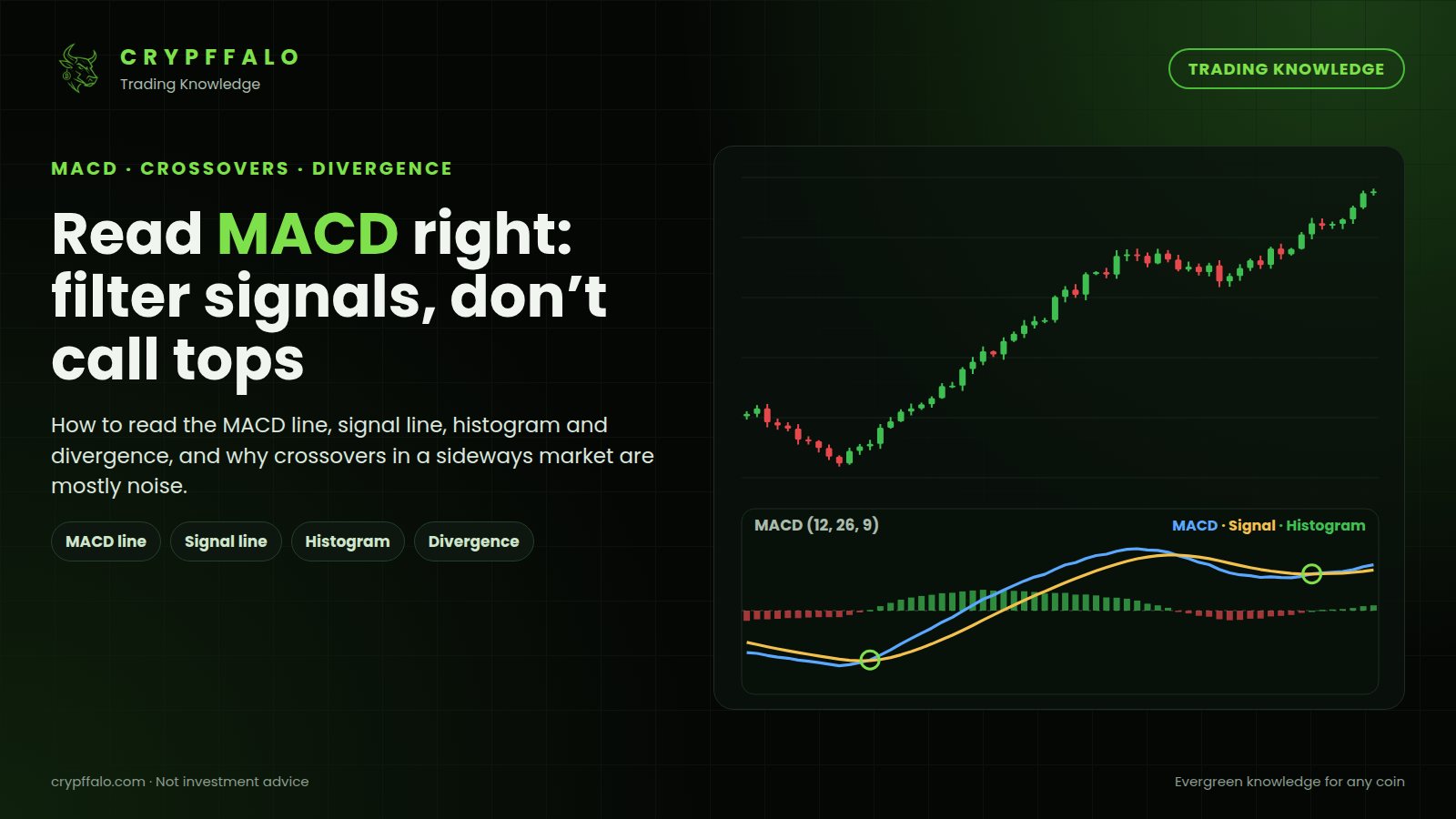 What Is MACD? How to Read Crossovers, Histogram and Divergence (With Examples)