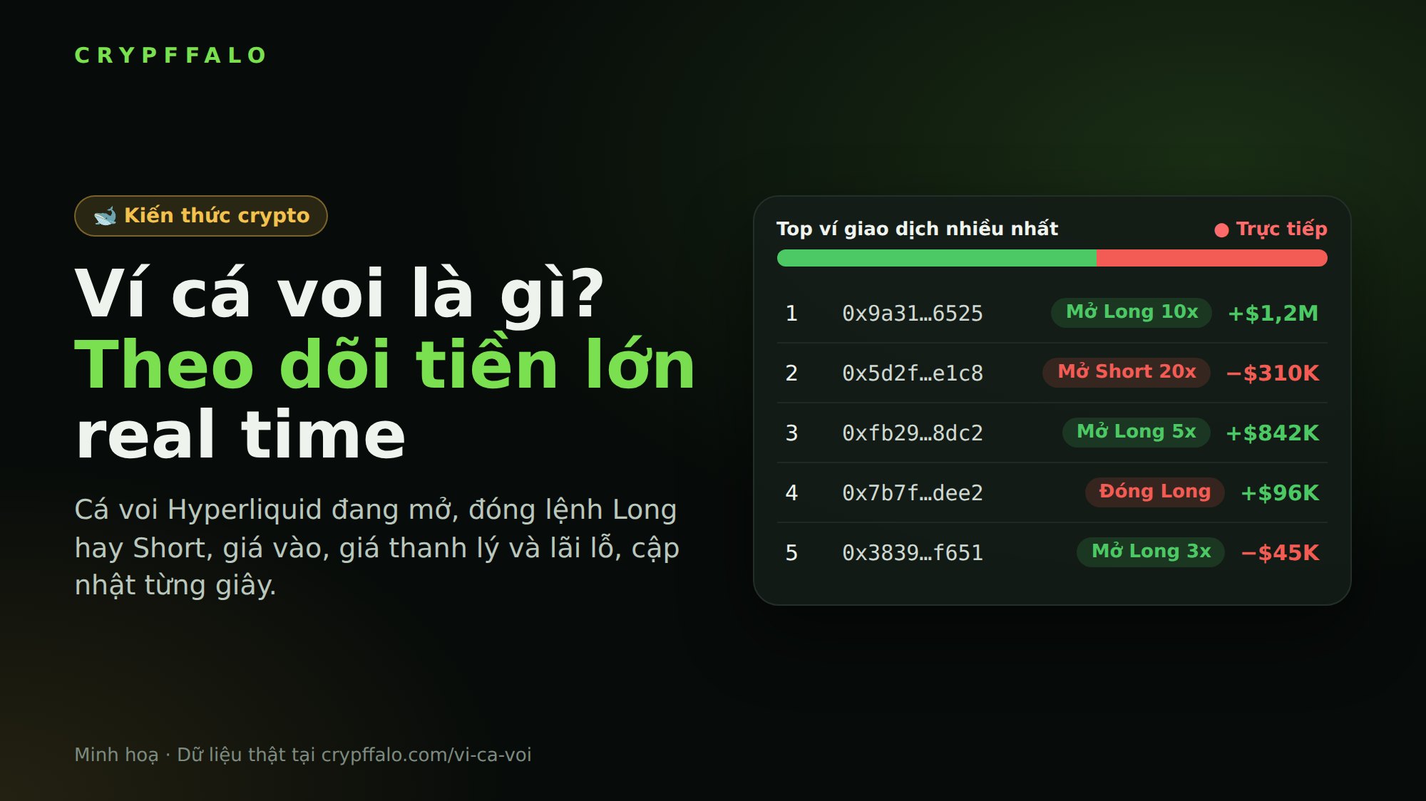 Ví cá voi là gì? Cách theo dõi ví cá voi Hyperliquid real time để biết tiền lớn đang Long hay Short